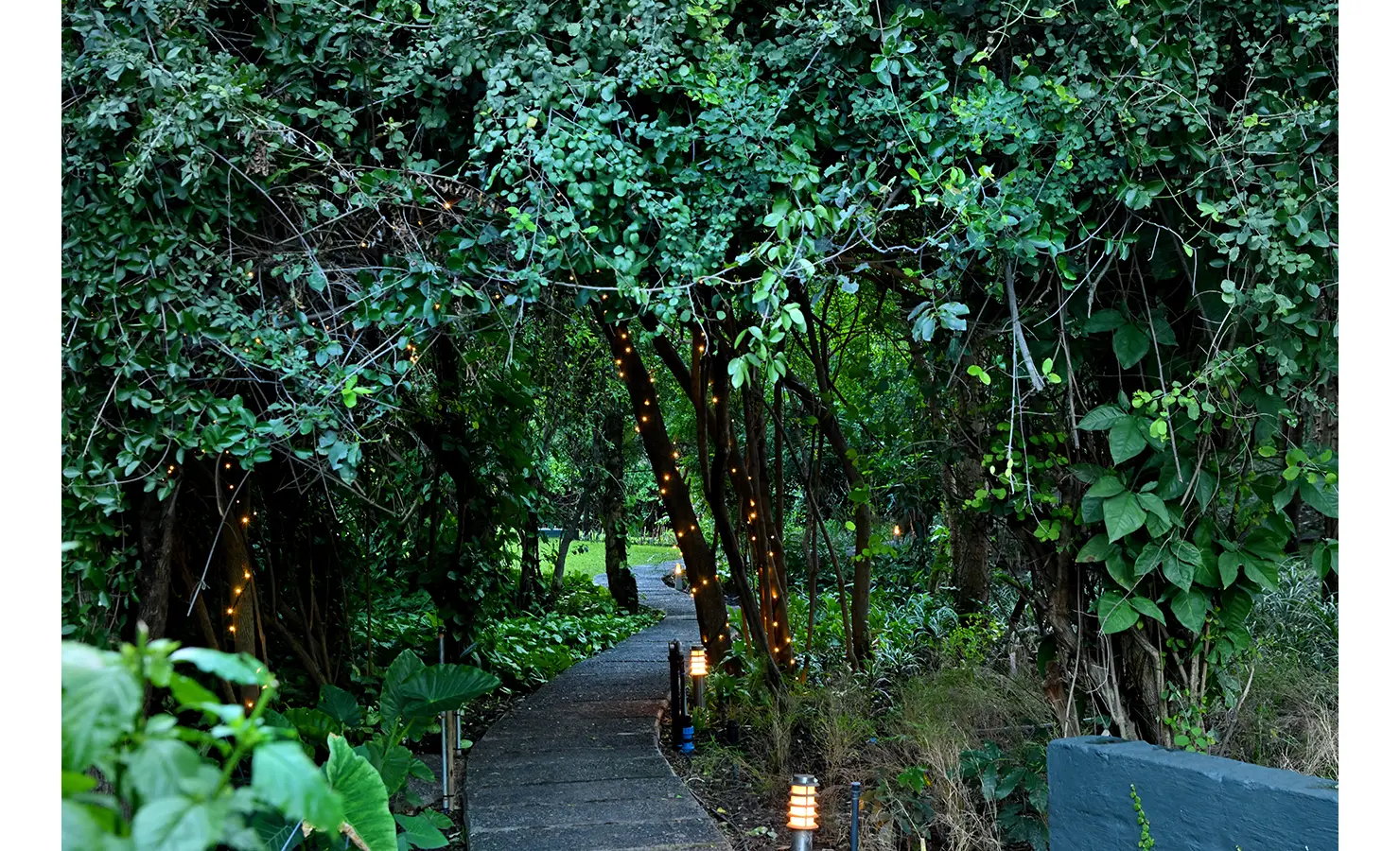 Perfect Hideaways: Tree-lined garden pathway lit with fairy lights, leading through lush foliage, Tanyati Villa, Livingstone