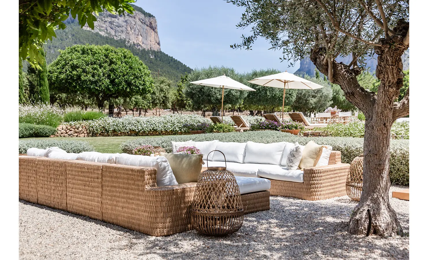 Perfect Hideaways: An inviting outdoor lounge framed by an ancient olive tree and lush garden beds, with white-cushioned wicker sofas offering views of the mountains and pool loungers beyond. Finca Es Rafal, Alaró