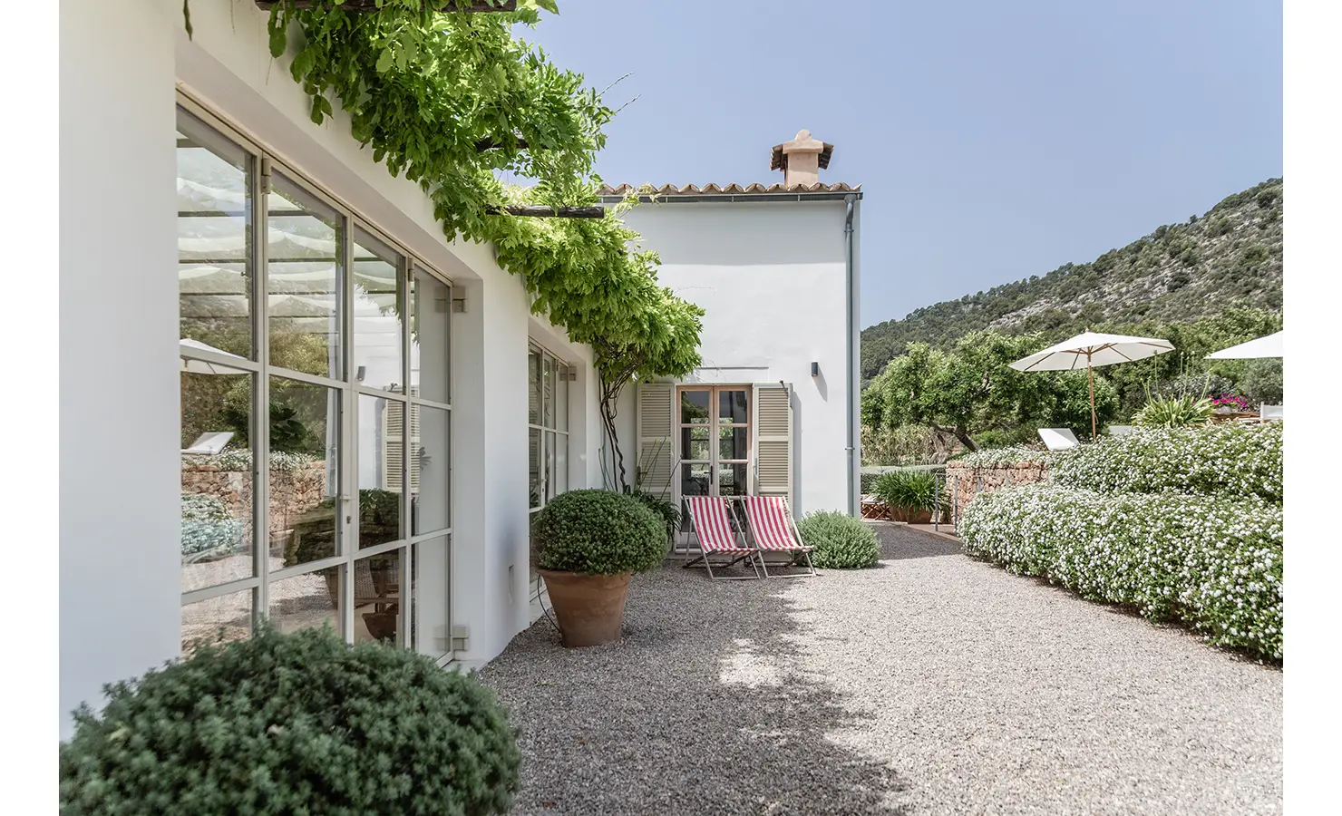 Perfect Hideaways: A peaceful courtyard with gravel underfoot, striped deck chairs, and overhanging wisteria vines, bordered by flowering hedges and mountain views. Finca Es Rafal, Alaró