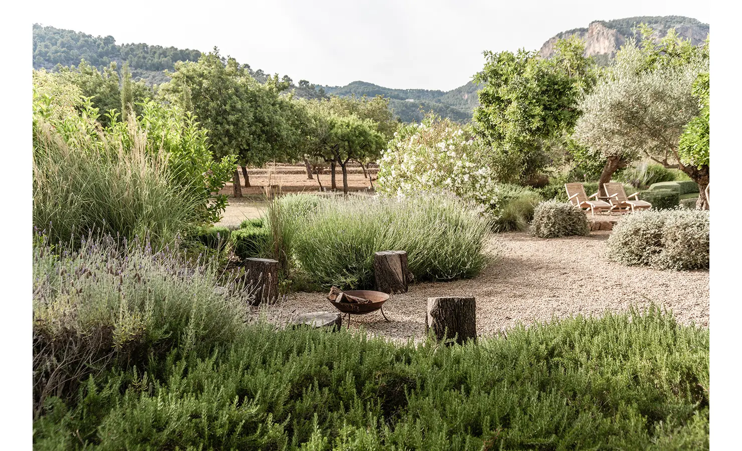 Perfect Hideaways: A natural firepit area surrounded by aromatic lavender, wild rosemary, and tree stump seats, with loungers tucked under olive trees and views of the mountainous landscape. Finca Es Rafal, Alaró