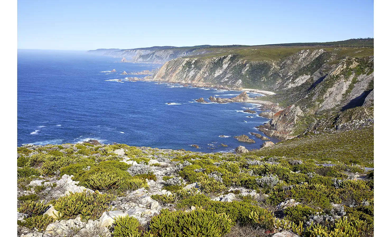 Perfect Hideaways: A sweeping view across the pristine coastline reveals jagged cliffs, sapphire waters, and dense green shrubland meeting the sea. Fynbos Fort, Plettenberg Bay.