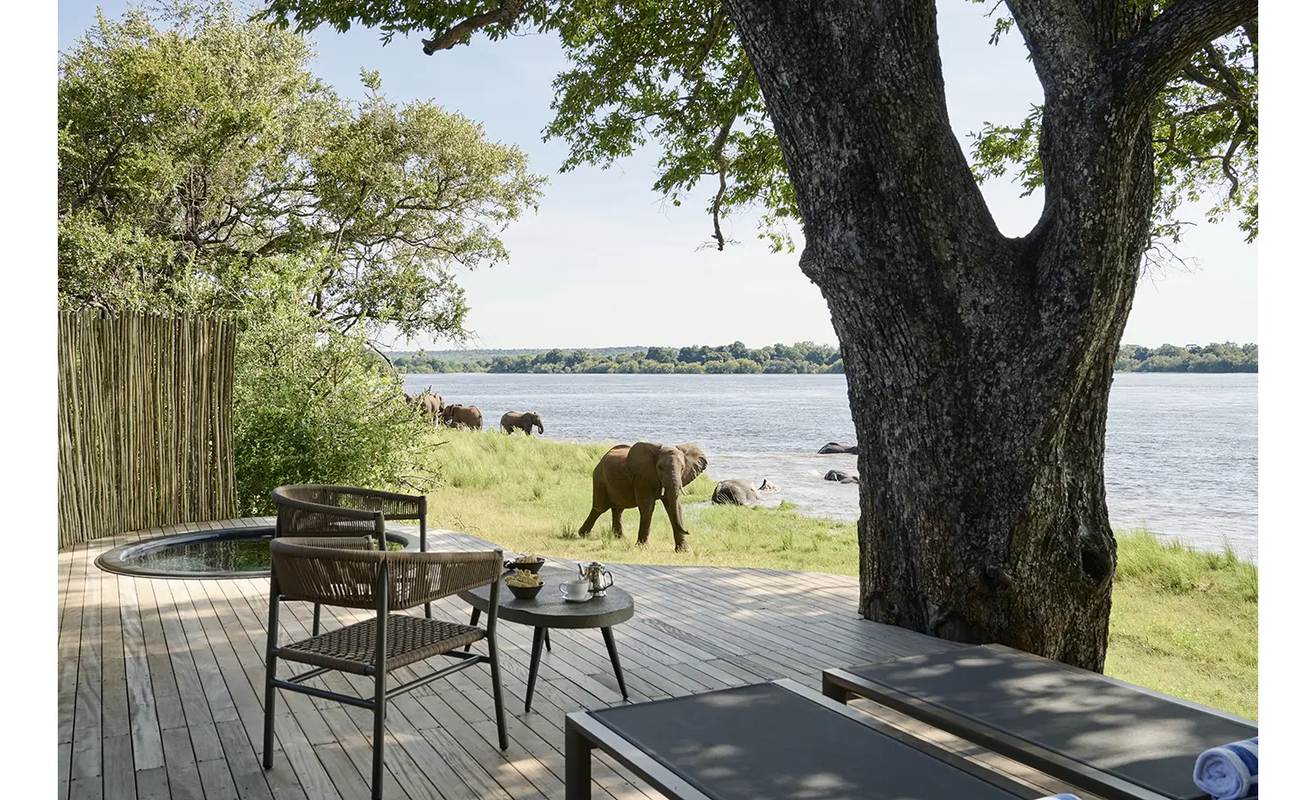 Perfect Hideaways: Private deck with woven chairs, circular plunge pool and loungers as elephants graze and bathe at the river’s edge below. Hippo Creek Villa, Zambezi National Park.