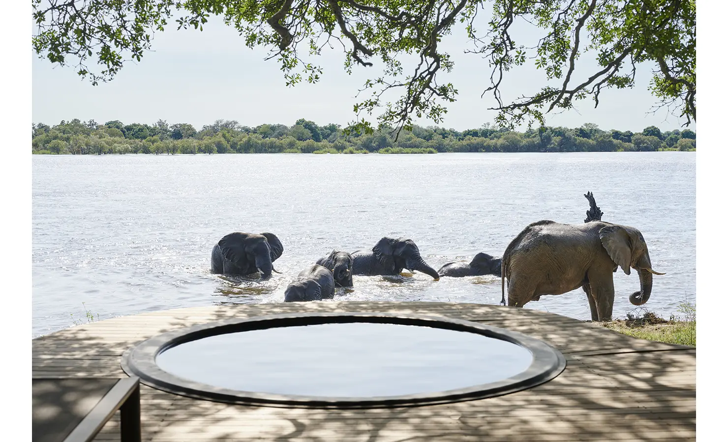 Perfect Hideaways: Elephants drinking and splashing in the Zambezi just beyond the circular deck plunge pool. Hippo Creek Villa, Zambezi National Park.