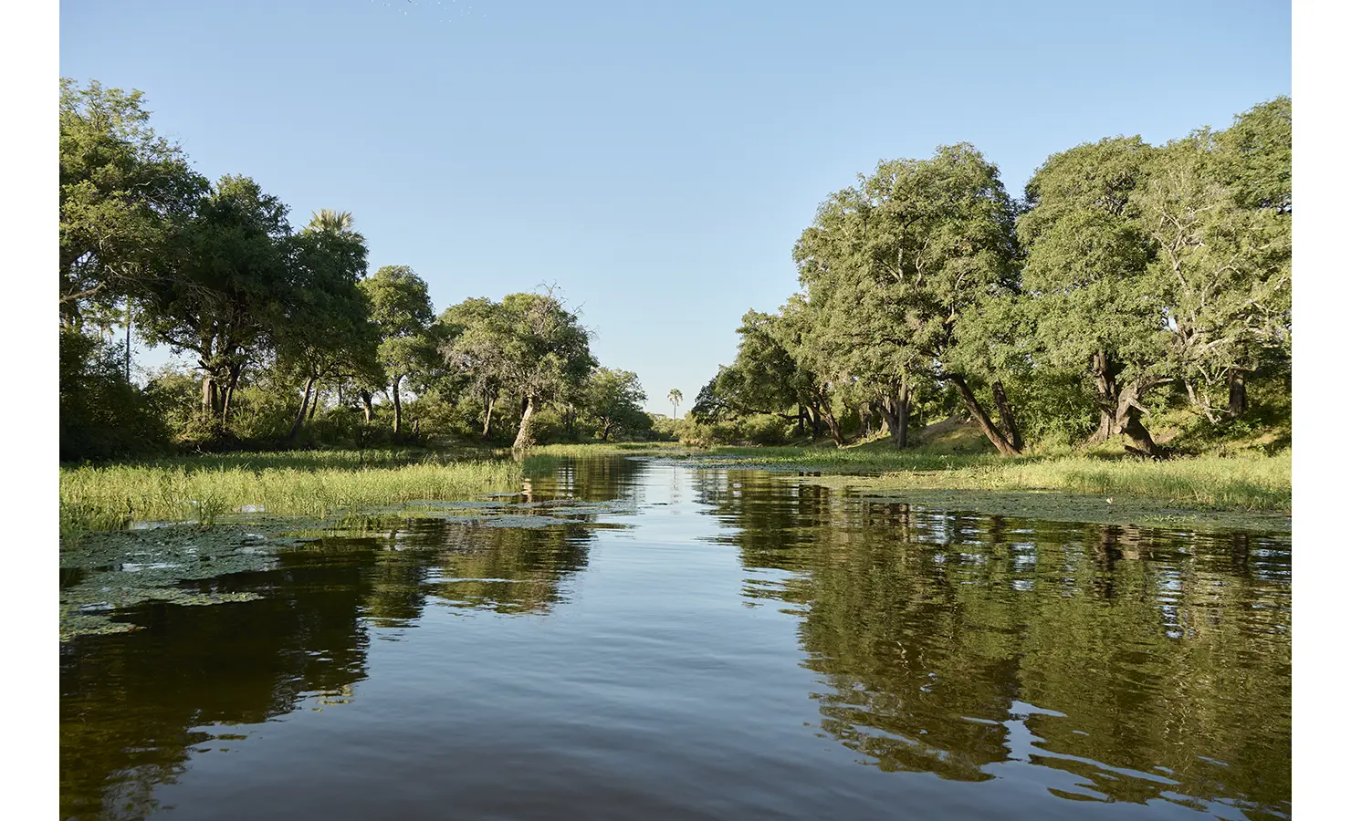 Perfect Hideaways: Quiet backwater of the Zambezi fringed with tall riverine trees and waterlilies, reflecting in the calm channel. Hippo Creek Villa, Zambezi National Park.