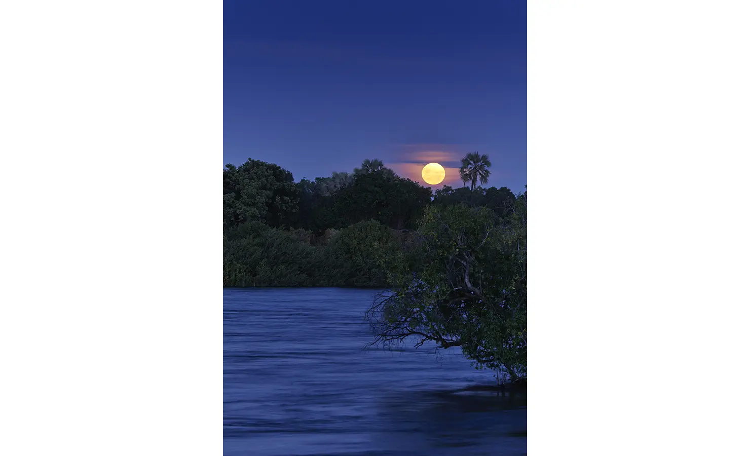 Perfect Hideaways: Full moon rising above a palm-fringed riverbank at blue hour over the Zambezi, Rapid's View Villa, Zambezi National Park