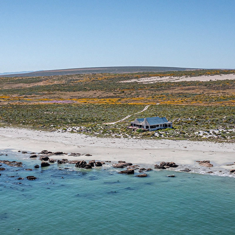 Perfect Hideaways remote beachfront cottage nestled among fynbos dunes overlooking turquoise ocean waters and rocky shoreline under a clear blue sky West Coast, Paternoster Islands Beach House
