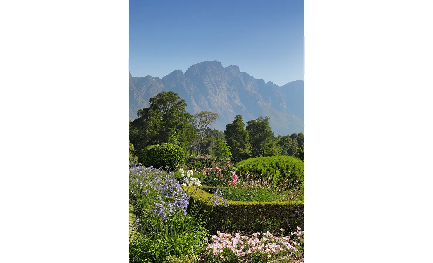 Perfect Hideaways lush flower garden bursting with colorful blooms and hedges, framed by tall trees and dramatic mountains, Franschhoek, Varuna.