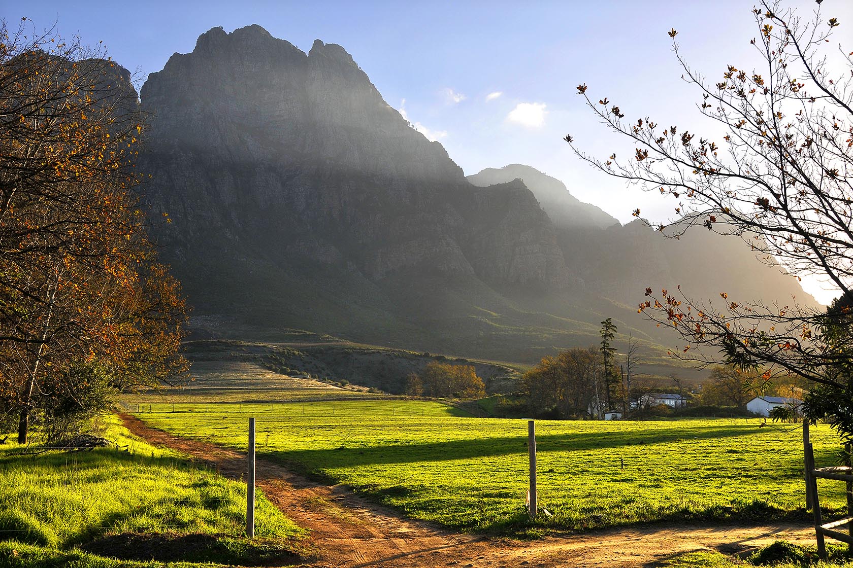 Perfect Hideaways – A golden field and dirt path stretch toward dramatic, shadowed mountain cliffs, with soft morning light filtering through mist and bare-branched trees framing the scene – Cottage 1685, Franschhoek, Western Cape, South Africa