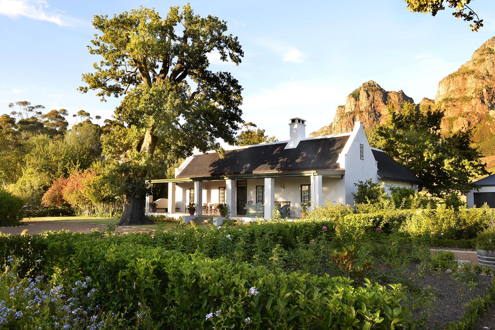 Perfect Hideaways – A white Cape Dutch gable peeks through dense green foliage beneath a towering bare tree, while misty clouds wrap around rugged mountain peaks in the background – Cottage 1685, Franschhoek, Western Cape, South Africa