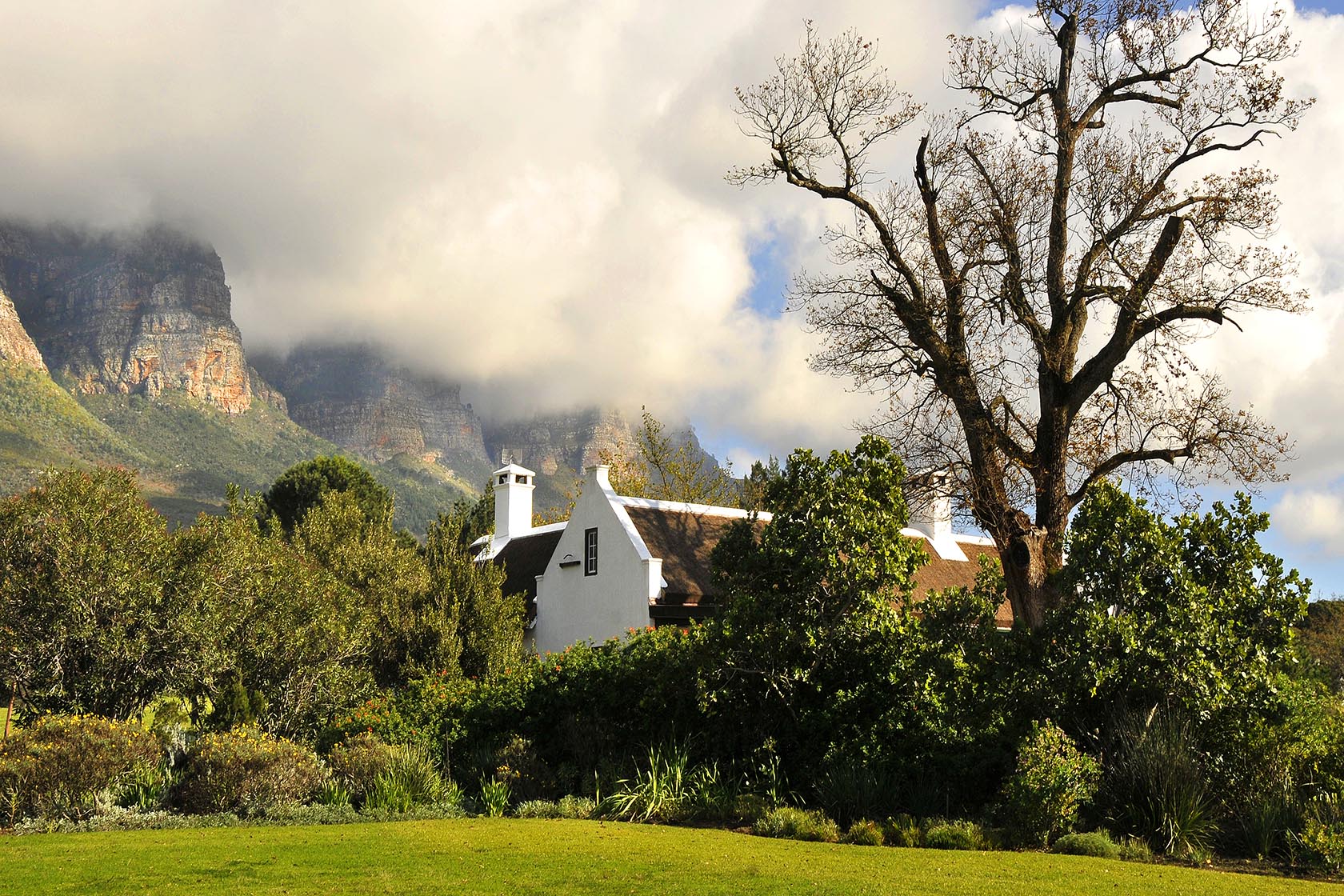 Perfect Hideaways – A white Cape Dutch gable peeks through dense green foliage beneath a towering bare tree, while misty clouds wrap around rugged mountain peaks in the background – Cottage 1685, Franschhoek, Western Cape, South Africa