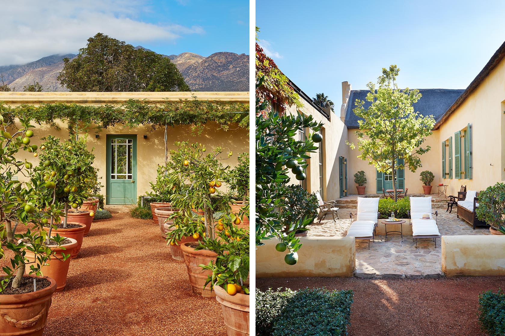 Perfect Hideaways- A tranquil courtyard garden with terracotta pots of citrus trees framing a gravel path and a pale green door, set against soft yellow walls and mountain views beyond Jonkmanshof, Montague, Western Cape, South Africa