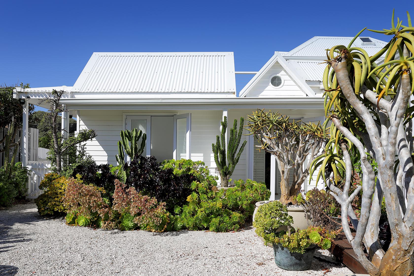 Perfect Hideaways - White coastal cottage exterior surrounded by mature succulents and sculptural plants, with gravel pathways and corrugated roofing under clear blue skies Cape Cottage_Yzerfontein_West Coast_Western Cape_South Africa