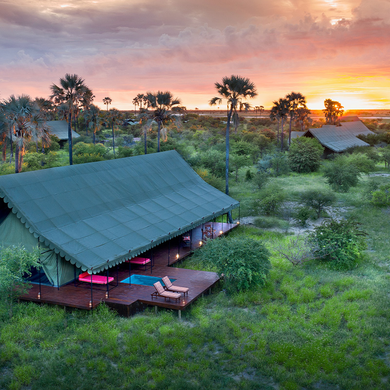 Perfect Hideaways: A luxurious safari tent at Jack's Camp, surrounded by lush greenery and towering palm trees, bathed in the golden hues of sunset. The canvas structure blends seamlessly with the landscape, offering an intimate retreat in the vast Makgadikgadi Pans. Jack's Camp, Makgadikgadi Pans National Park.