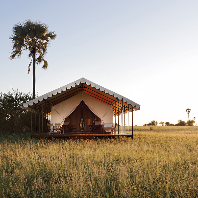 Perfect Hideaways: A beautifully styled safari tent stands on a wooden deck amid golden grasses, its canvas roof and scalloped awning blending seamlessly with the vast wilderness. Towering palm trees punctuate the horizon, bathed in the warm glow of the setting sun. San Camp, Makgadikgadi Pans National Park.