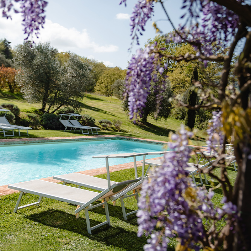 Perfect Hideaways- A tranquil Tuscan garden with stone farmhouse buildings, ivy-covered walls, manicured lawns, and a wooden outdoor daybed draped in white curtains beneath mature trees, Casa Fabbrini, Italy