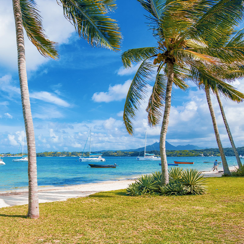 Perfect Hideaways – a tranquil beachfront scene with two wooden loungers facing a calm turquoise lagoon, scattered sailing boats and catamarans anchored offshore, framed by tall palm trees and lush coastal greenery under a bright blue sky with soft clouds, with distant mountains and a sandy shoreline completing the peaceful island setting – Villa Cambresi, Mauritius
