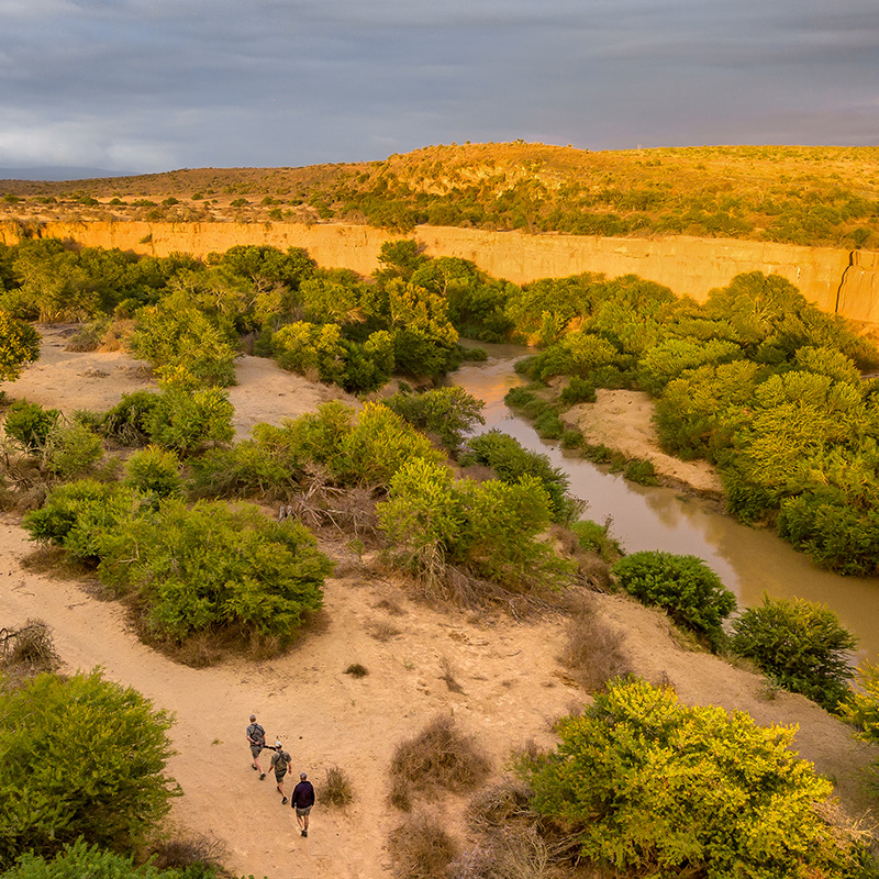 Perfect Hideaways–A warm living room with a green-tiled fireplace, plush purple armchairs, neutral sofas, and large windows overlooking the garden Kwandwe Uplands Homestead, Kwandwe Private Game Reserve, Eastern Cape, South Africa