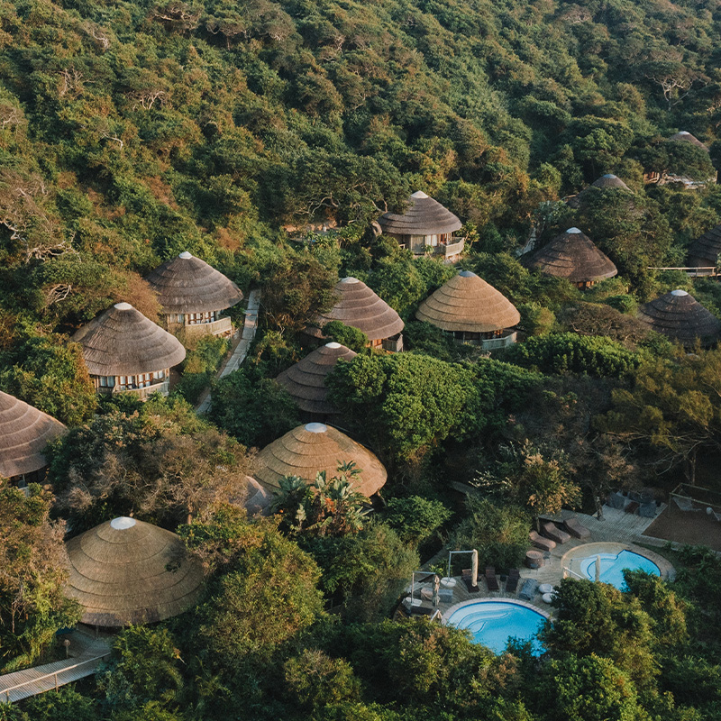 Perfect Hideaways- Open-air lodge bar with a thatched roof, wooden deck, woven pendant lights, bar stools and lounge seating surrounded by indigenous trees and greenery, Thonga Beach Lodge, Kwazulu- Natal, South Africa