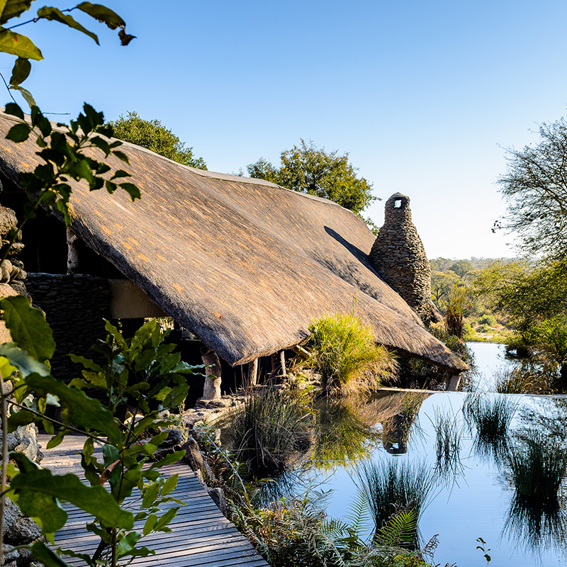 Perfect Hideaways - An outdoor deck shaded by trees, featuring a curved plunge pool overlooking a riverbed and bushveld, with a sun lounger, basket, and side table arranged for relaxation. Singita Boulders Lodge, Sabi Sand Nature Reserve