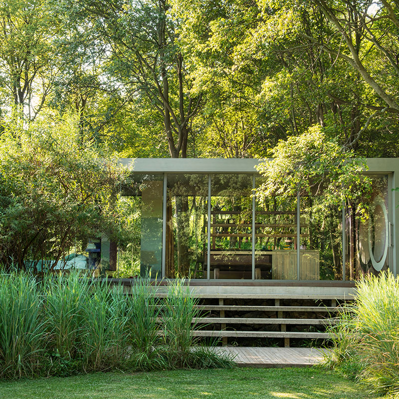 Modern glass-walled pavilion raised on a timber deck, nestled in dense green woodland with tall grasses in the foreground - The Pavilion, Cradle of Humankind