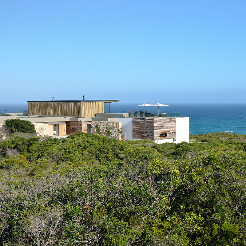 Perfect Hideaways–A contemporary coastal lodge with stone, wood, and minimalist architecture sits surrounded by dense green fynbos, overlooking sweeping white sand dunes and the deep blue ocean beneath a clear sky–Morukuru Beach Lodge, De Hoop Nature Reserve, Western Cape, South Africa