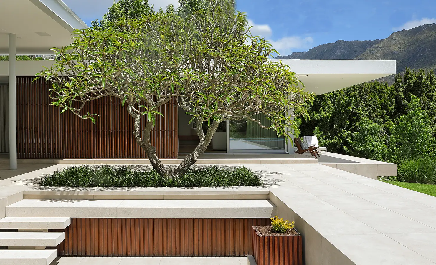 Perfect Hideaways A sculptural tree centered within a raised stone planter forms the focal point of a modern outdoor terrace, framed by warm vertical wooden slats, pale stone steps, and mountain views beyond lush greenery Pure Living, Bishopscourt