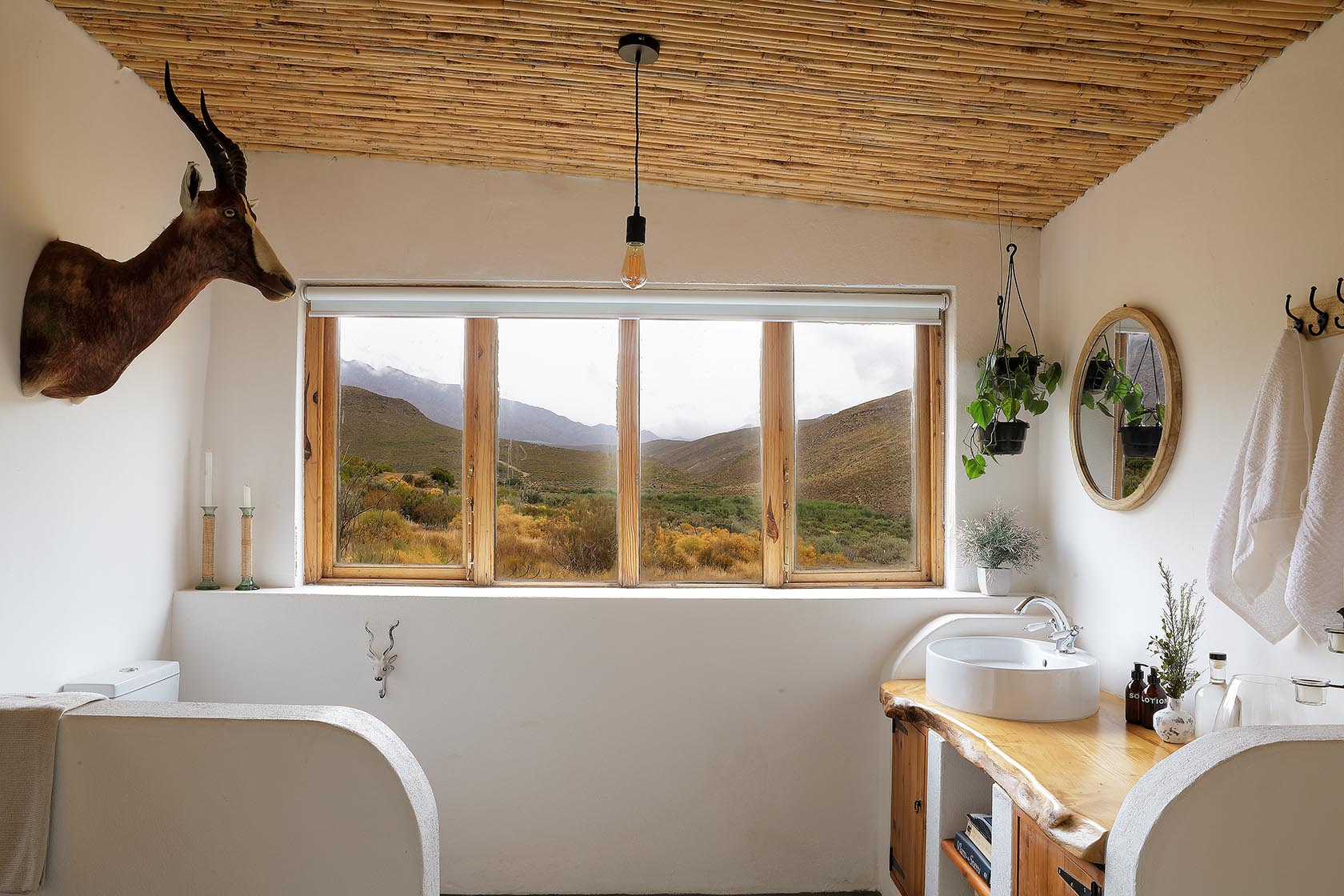 Perfect Hideaways – A spacious bathroom with a mounted antelope head, hanging plants, and a large picture window overlooking the rugged Karoo hills. A live-edge wooden counter and simple basin complete the organic aesthetic. Sheperd's Cottage, Prince Albert