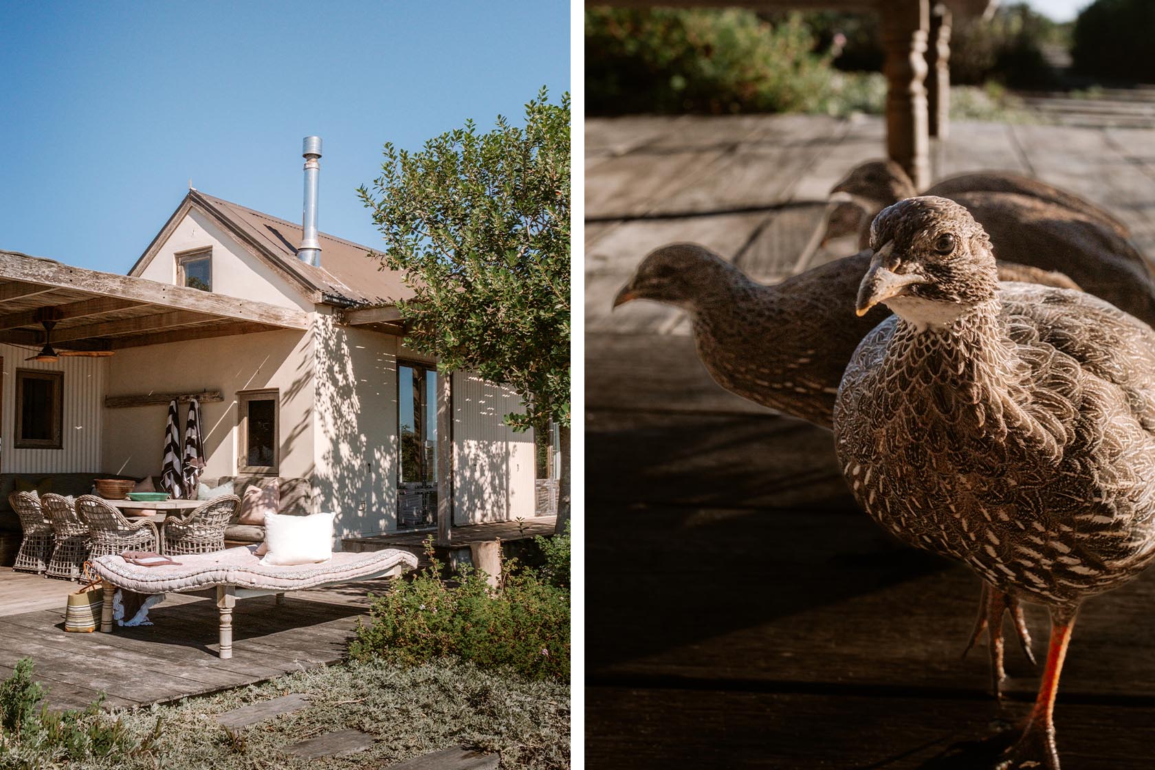 Perfect Hideaways- Exterior view of the cottage with a wooden deck, daybed, outdoor dining area, striped umbrellas and coastal vegetation surrounding the light-filled home, Yellowwood Cottage, Churchhaven, Western Cape, South Africa