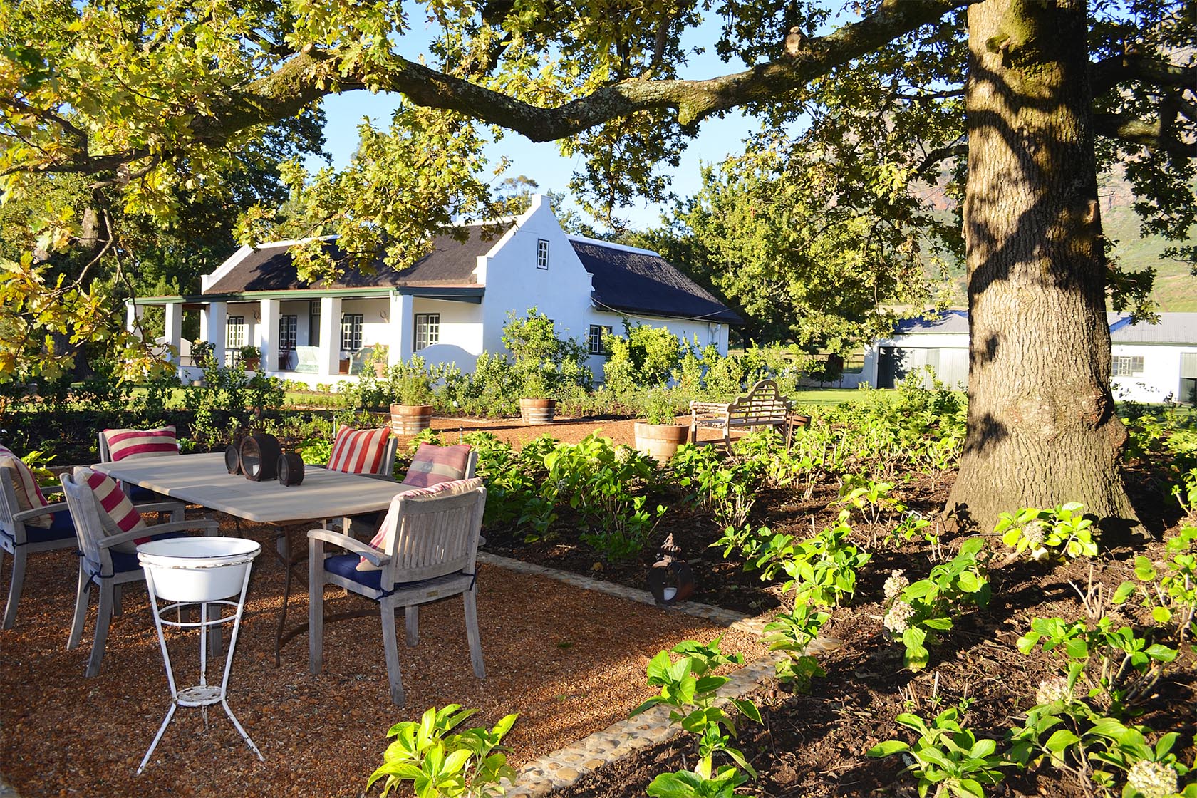 Perfect Hideaways – A charming outdoor dining area under the shade of a large oak tree, surrounded by lush garden beds, with views across to a white Cape Dutch cottage – Cottage 1685, Franschhoek, Western Cape, South Africa