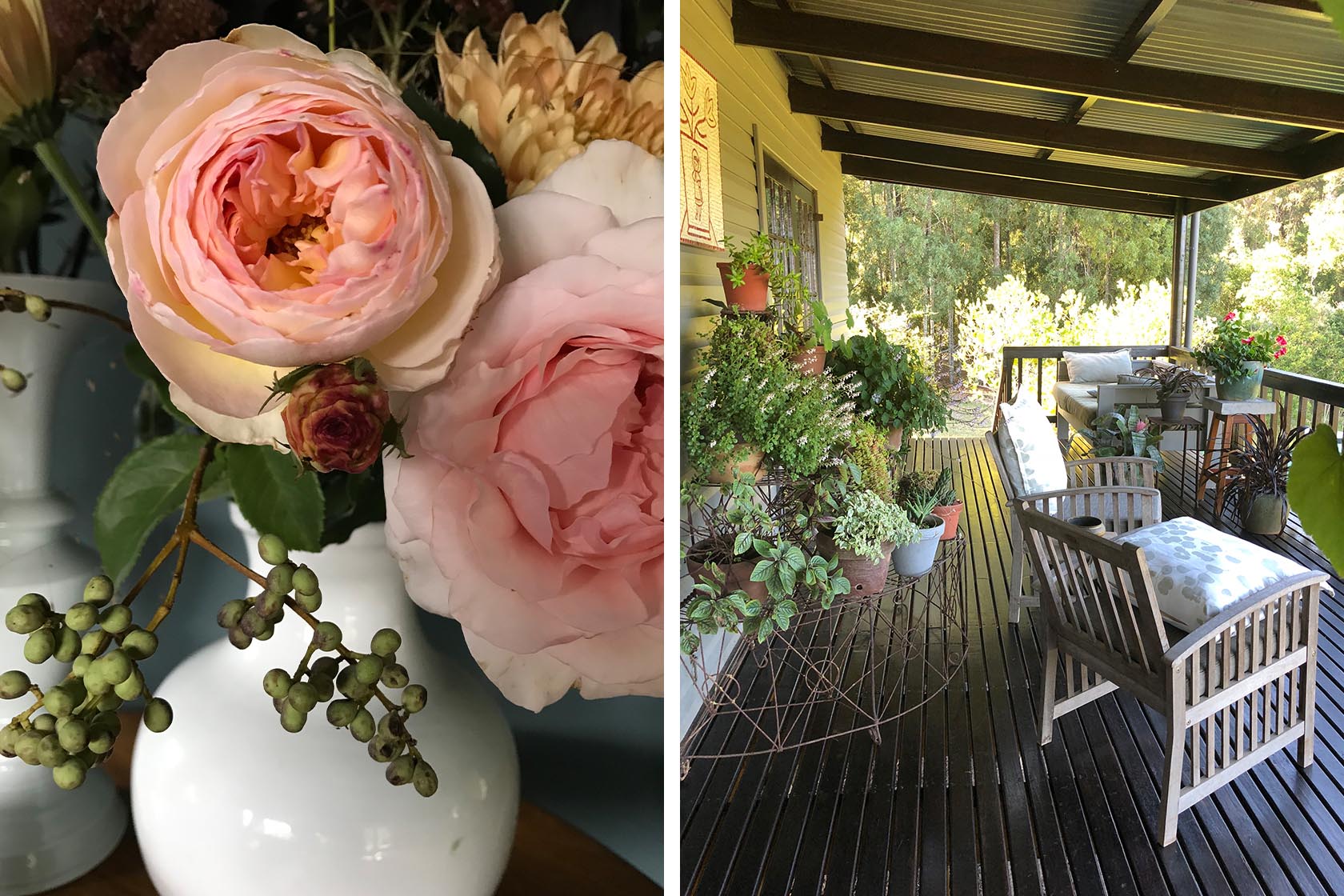Perfect Hideaways- Split view of delicate floral close-up and a furnished wooden veranda filled with plants and seating overlooking tranquil forest surroundings Sylvan and Floreo Cottages, Knysna, Western Cape, South Africa