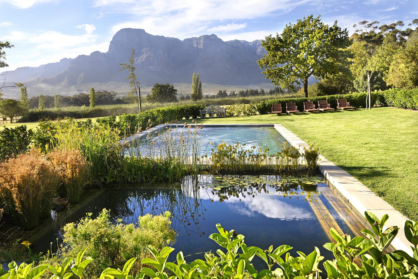 Perfect Hideaways – A tranquil natural pool and adjacent swimming pool sit amidst lush gardens, reflecting blue sky and towering mountains in the distance, with wooden loungers arranged on a sunlit lawn – Cottage 1685, Franschhoek, Western Cape, South Africa