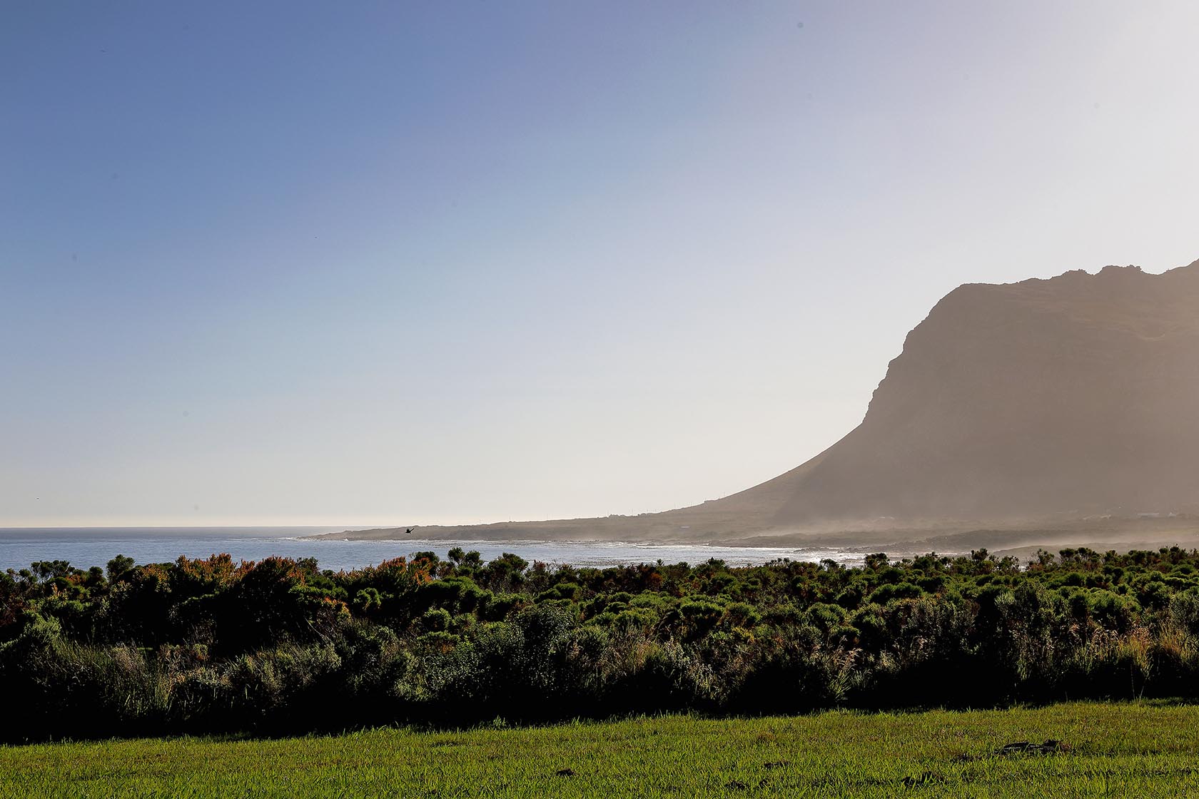 Perfect Hideaways sweeping coastal landscape with fynbos foreground and dramatic Kleinmond mountain backdrop, Soudt, Kleinmond