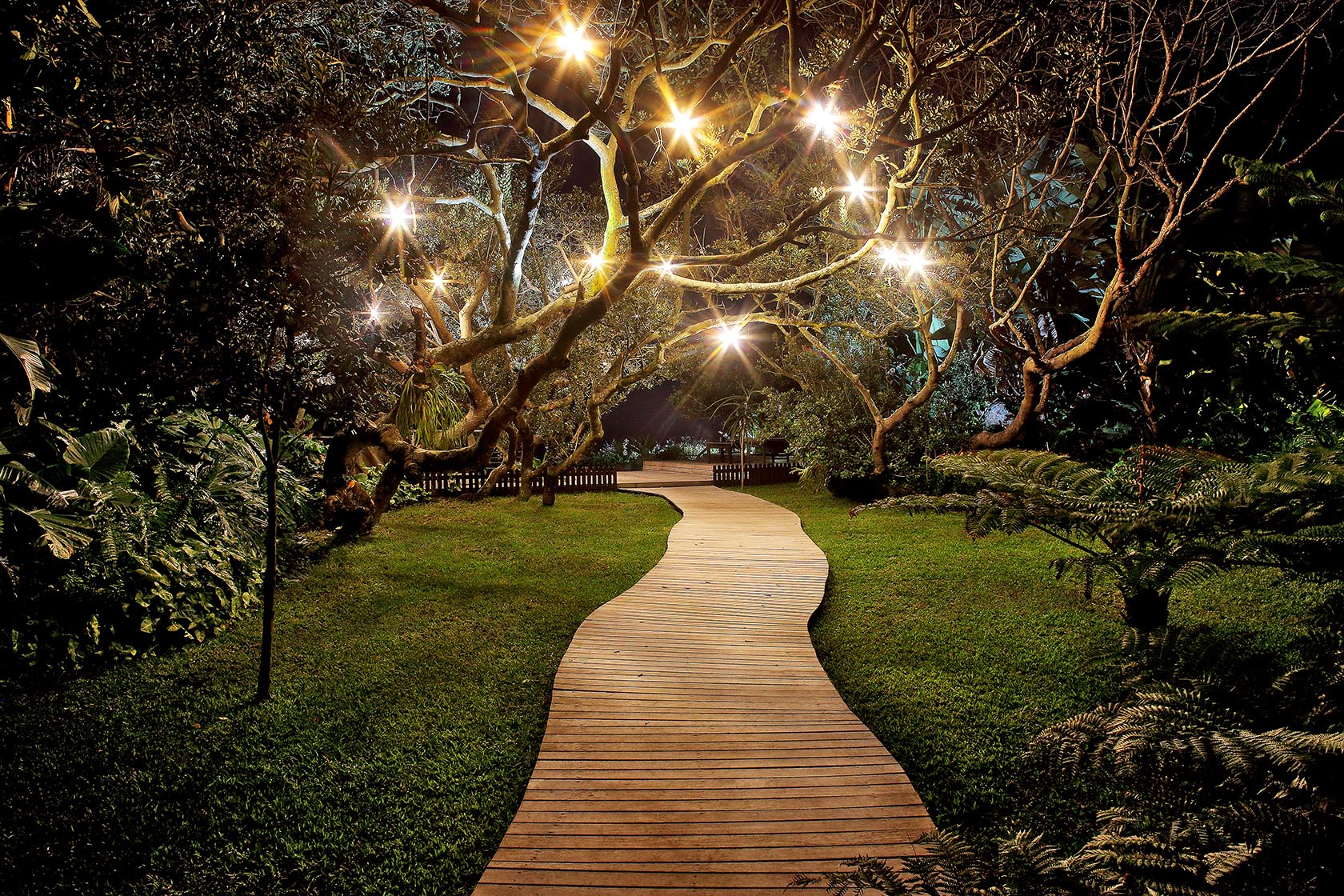 Perfect Hideaways- A magical garden pathway at night with a gently curving wooden boardwalk illuminated by lights woven through the branches of mature trees cowrie Cottage, Dolphin Coast, Kwazulu- Natal, South Africa