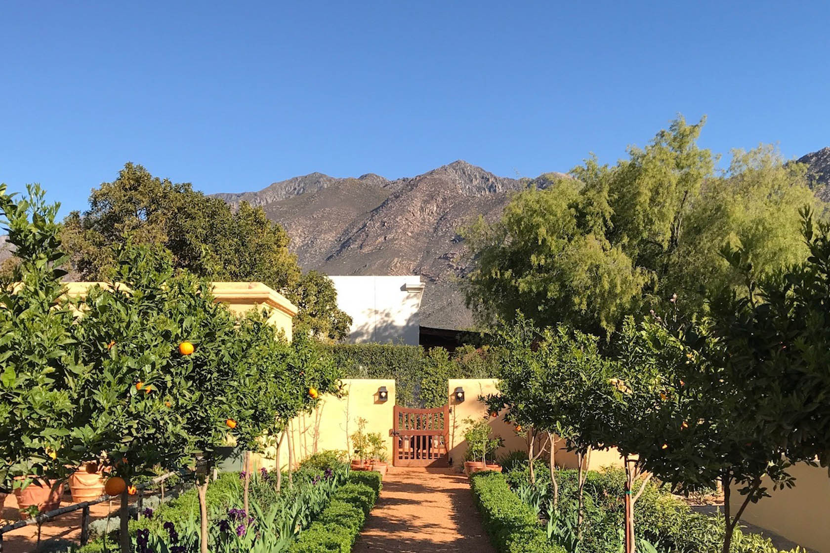 Perfect Hideaways- A formal garden path lined with citrus trees and clipped hedges leading to a wooden gate, with pale yellow walls, lush greenery and rugged mountains rising in the background under a clear blue sky Jonkmanshof, Montague, Western Cape, South Africa