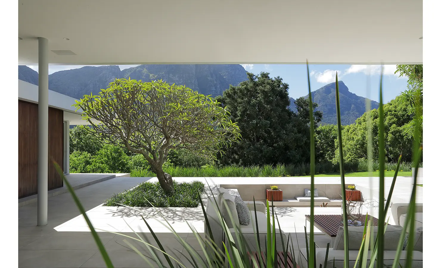 Perfect Hideaways A sculptural tree anchors a spacious terrace with modern seating, framed by mountain vistas and fresh greenery Pure Living, Bishopscourt