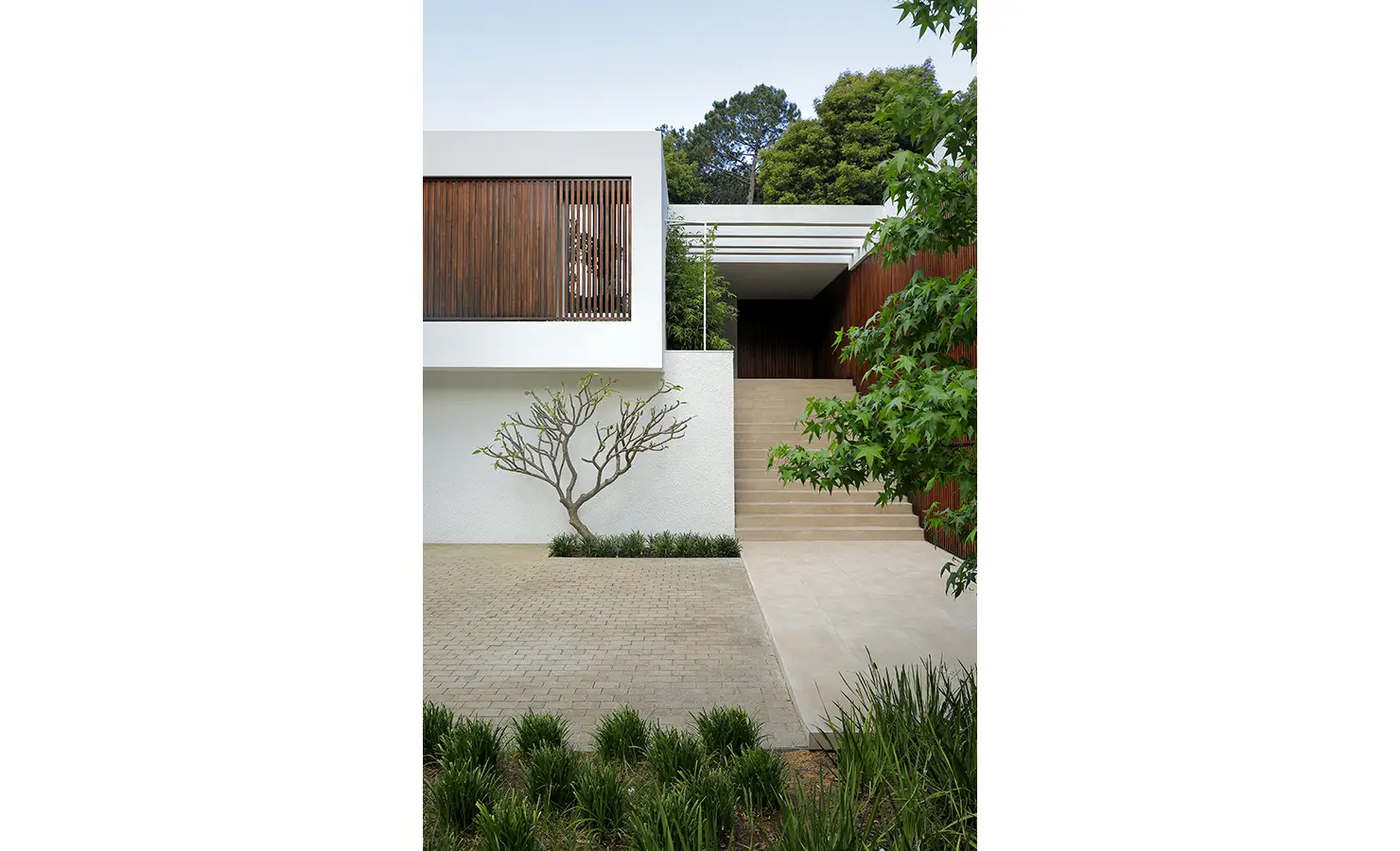 Perfect Hideaways A modern home entrance with a sculptural tree growing beside clean architectural lines, soft textured walls, and wide stone steps Pure Living, Bishopscourt