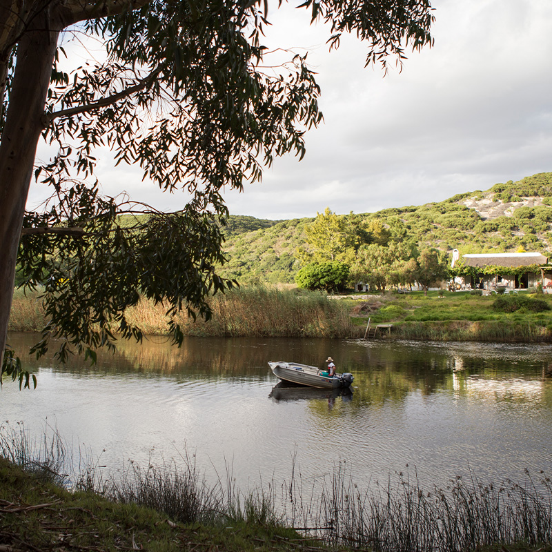 Perfect Hideaways- tranquil river scene with a small motorboat drifting on calm water, framed by trees in the foreground and lush green hills beyond, with the farmhouse visible on the opposite bank, Hill House, Vermaaklikheid, Western Cape, South Africa