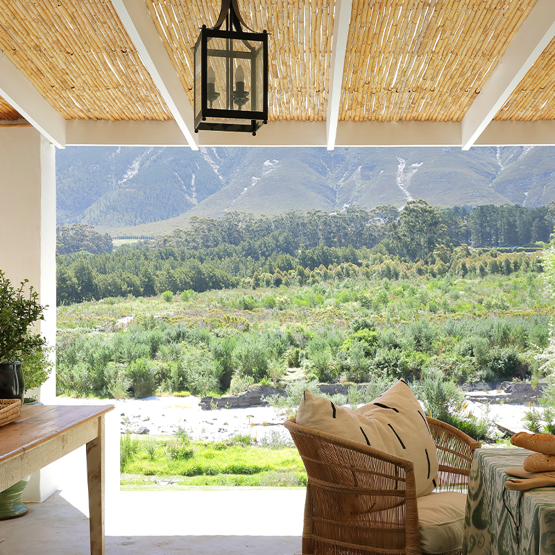 Perfect Hideaways A serene stone-edged swimming pool reflects the deep blue sky, framed by lush greenery and a large leafy tree casting shade. A person lounges on a striped sunbed to the left, while the dramatic mountain range rises in the background beyond rolling fynbos. A tall green ceramic pot anchors the scene beside a white columned patio. Hemel-en-Aarde, Casa Estrela