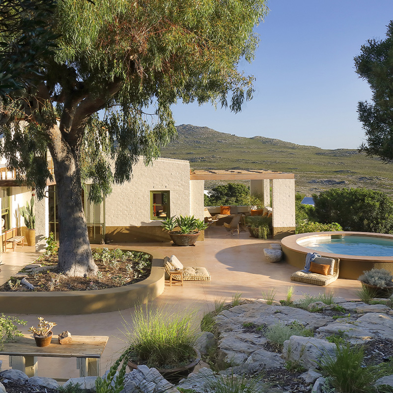 Perfect Hideaways contemporary coastal home with sunlit courtyard, large tree centerpiece, outdoor seating areas and circular plunge pool overlooking natural fynbos landscape Baskloof House, Scarborough