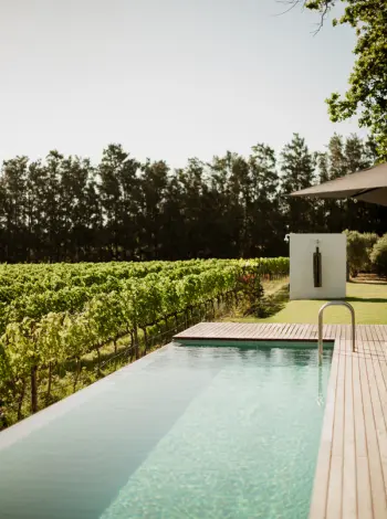 JAN Online Maison Franschoek