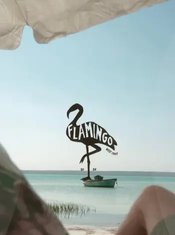 OCD Flamingo